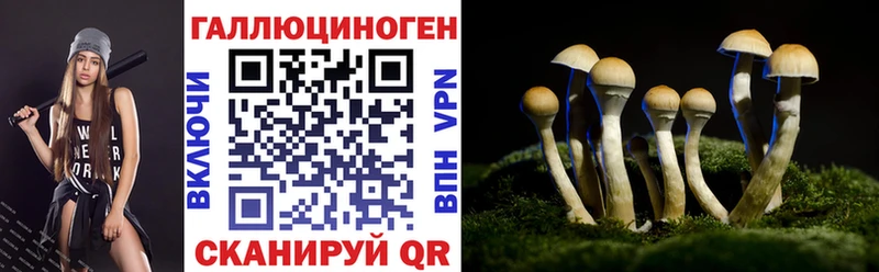 Псилоцибиновые грибы Psilocybine cubensis  Ростов-на-Дону 